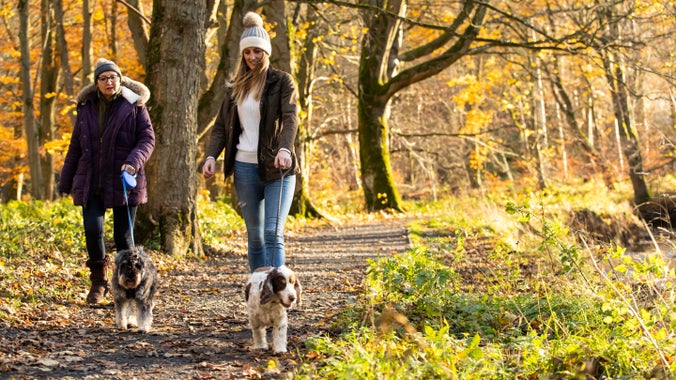 Two women walking their dogs surrounded by autumnal trees